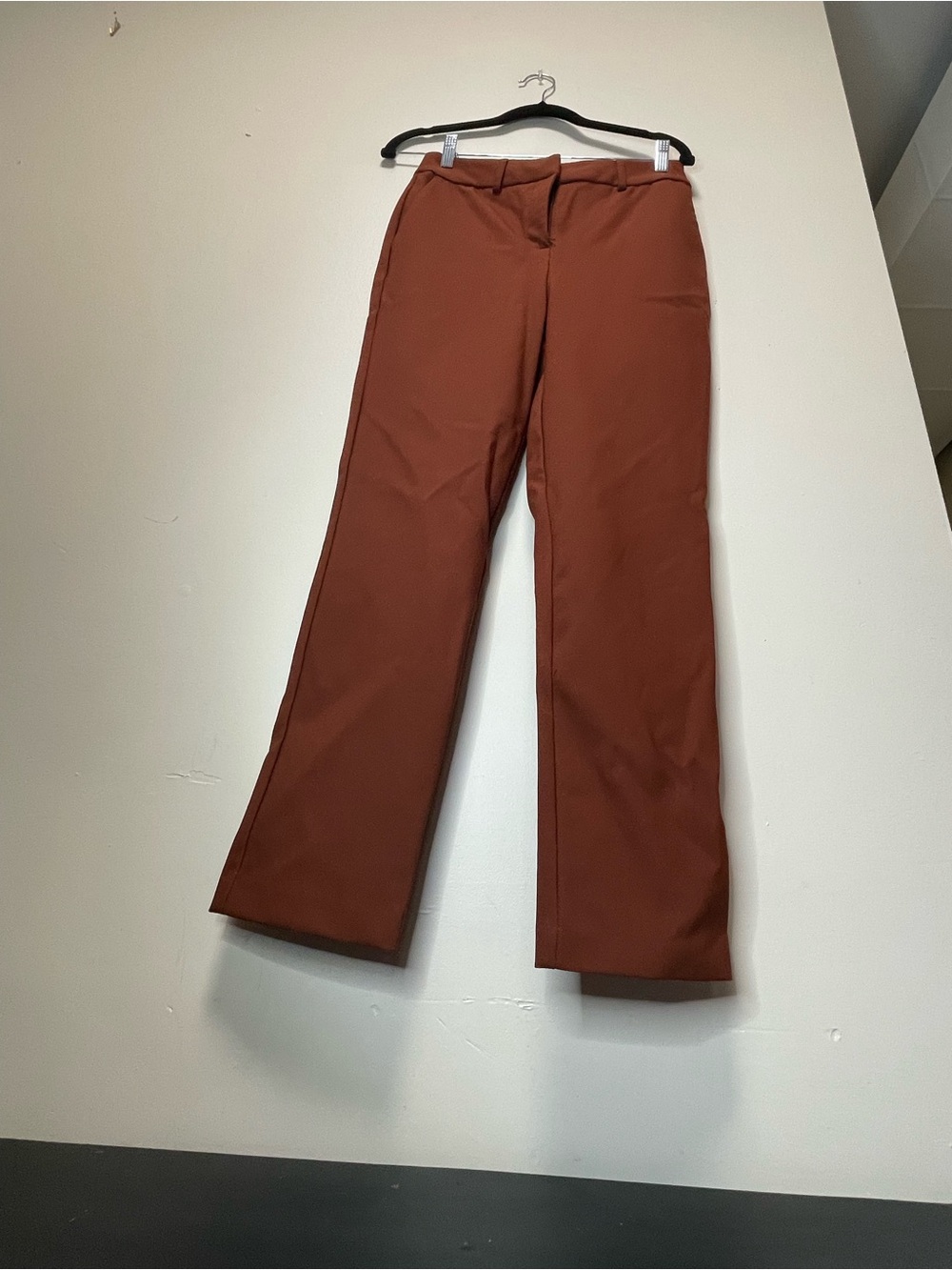 Rachel Zoe Wide-Leg Pants in Rust